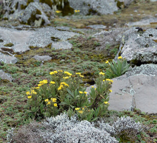 paesaggio, landscape Sanetti plateau