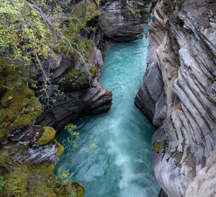 Athabasca falls, Jasper NP