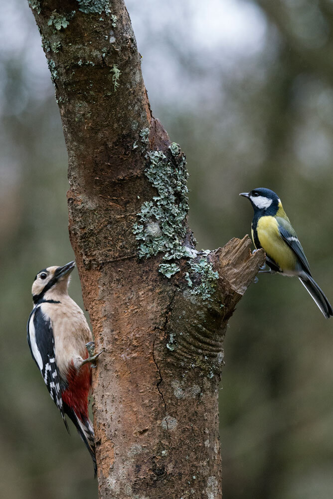 b206a187-18cf-4689-aca3-15af5b30a5dc