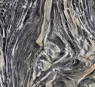corteccia, bark