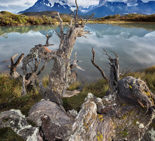 lago Pehoe PN Torres del Paine, Cile