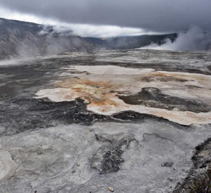 depositi calcarei, calcareous sediments Mammoth Hot spring, PN di Yellowstone, Yellowstone NP