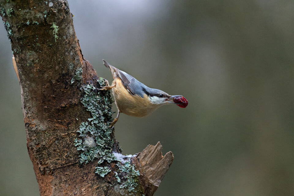 23dc4c04-6e5c-4f3a-8231-f1cf8ae46c86