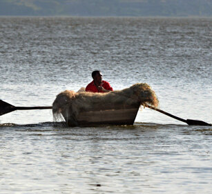 pescatore, fisher lago Awasa, lake Awasa
