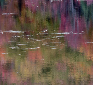 Reflections lake à Sam, Mauricie NP