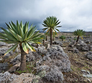 paesaggio, landscape, Sanetti plateau