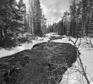 torrente nel bosco, torrent in the wood Finlandia, Finland