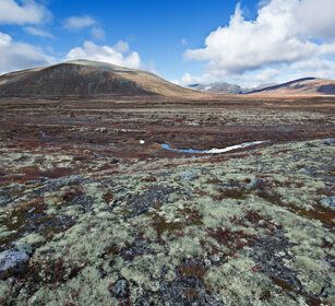 paesaggio, landscape parco nazionale di Dovrefjell, Dovrefjell NP