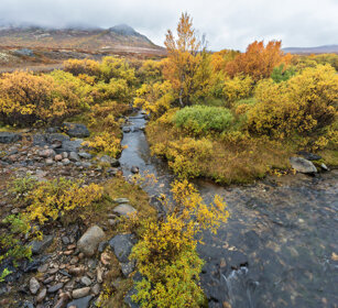 paesaggio, landscape parco nazionale di Dovrefjell, Dovrefjell NP