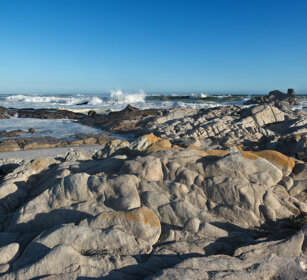 paesaggio, landscape PN della West Coast, West Coast NP