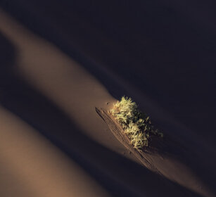 paesaggio, landscape Namib Naukluft NP