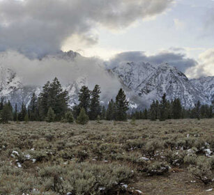 paesaggio, landscape PN Grand Teton, Grand Teton NP