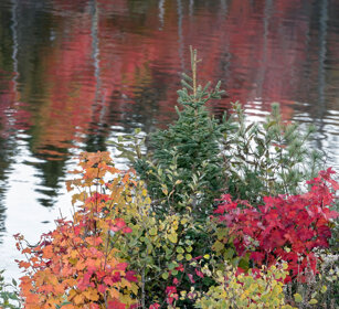 Indian summer Jacques Cartier NP