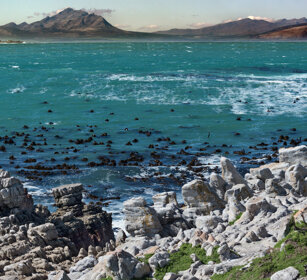 baia di Betty, Betty's bay