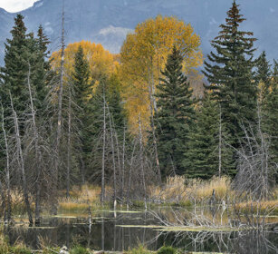 paesaggio, landscape Schwabacher landing, Grand Teton range