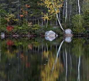 Reflections Mont Tremblent NP