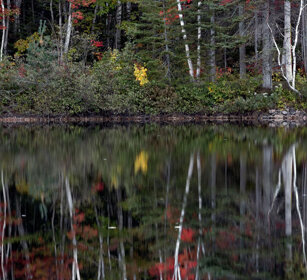 Reflections Mont Tremblent NP