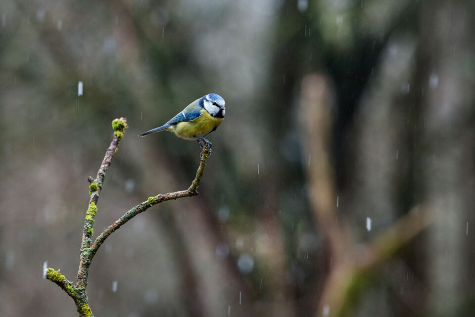 341dc0d4-977a-45b6-ab45-b39fcff2b136