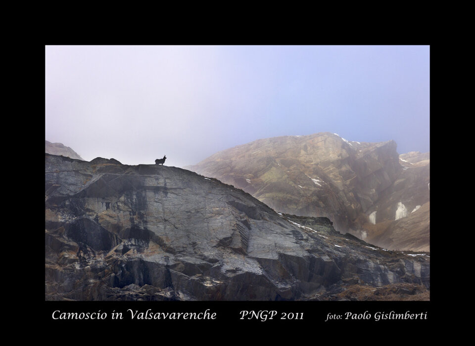 a0e655b7-7414-455f-bd4b-ec3a447b6917 a0e655b7-7414-455f-bd4b-ec3a447b6917