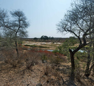 paesaggio, landscape PN Kruger, Kruger NP