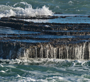 paesaggio, landscape Riserva naturale De Hoop, De Hoop natural reserve