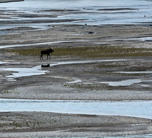 Medicine lake, Banff NP