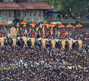 Pooram Elephant Festival 2010 Thrissur, Kerala