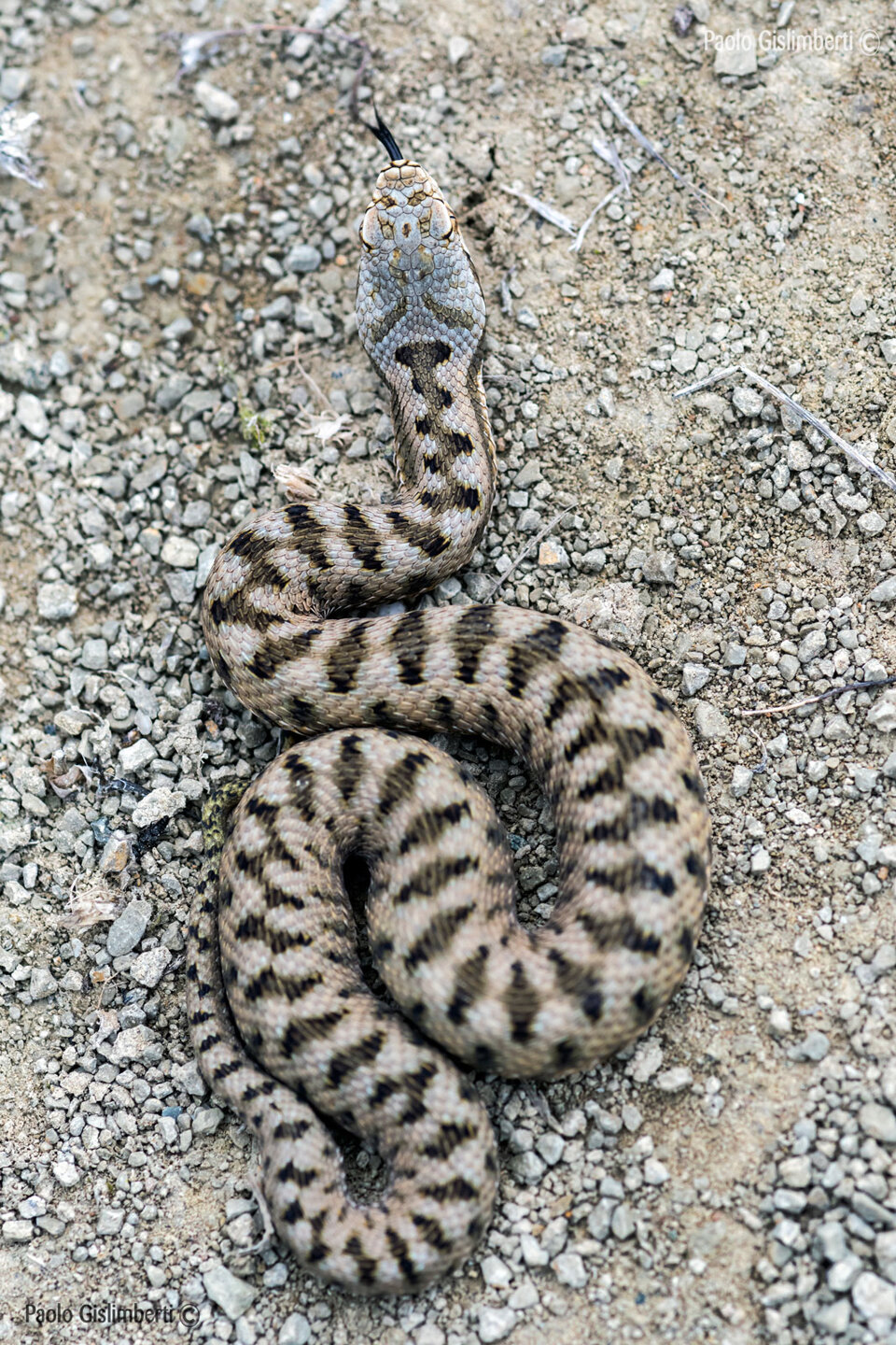 e07a9576-9879-4b44-bac9-5db5c2999172 e07a9576-9879-4b44-bac9-5db5c2999172