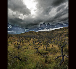 paesaggio, landscape Torres del Paine, Patagonia paesaggio, landscape Torres del Paine, Patagonia