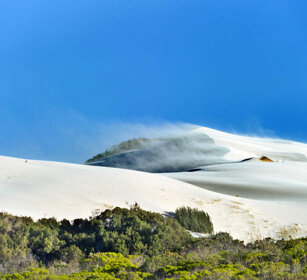 dune bianche, white dunes Riserva naturale De Hoop, De Hoop natural reserve