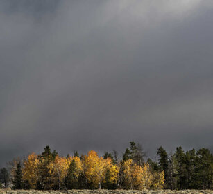 paesaggio, landscape PN Grand Teton, Grand Teton NP