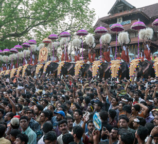 Pooram Elephant Festival 2010 Thrissur, Kerala