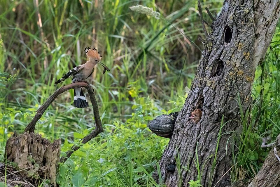 1a5bfadd-da5e-455f-b059-d3d32fe5796d.jpeg 1a5bfadd-da5e-455f-b059-d3d32fe5796d.jpeg