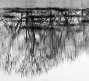 riflessi, reflections