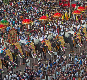 Pooram Elephant Festival 2010 Thrissur, Kerala