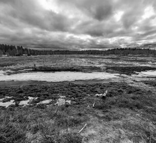 taiga Finlandia, Finland