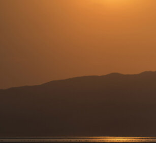 Fenicotteri rosa (Phoenicopterus roseus) Greater Flamingos, lake Natron