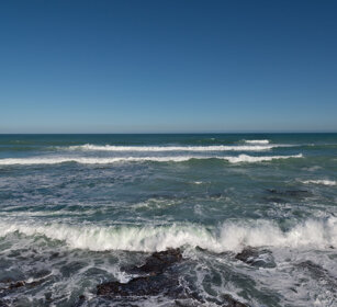 paesaggio, landscape Riserva naturale De Hoop, De Hoop natural reserve