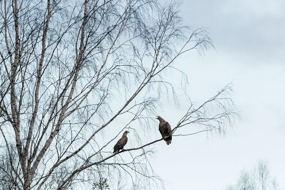 28281a95-650b-46ac-8847-1bf82817b45e