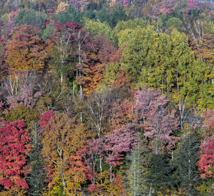 Indian summer Mont Tremblent NP