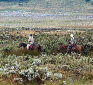 cavalieri, riders montagne Bale, Bale mountains
