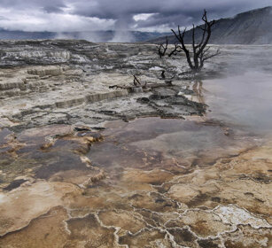 depositi calcarei, calcareous sediments Mammoth Hot spring, PN di Yellowstone, Yellowstone NP