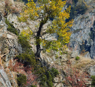 paesaggio, landscape Valle d'Aosta, Aosta Valley