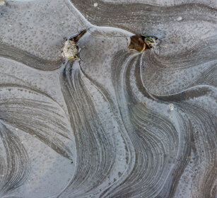 pozzanghera gelata, icy puddle