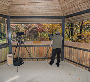 capanno fotografico, photo-hide Bayerischerwald, Germania, Germany