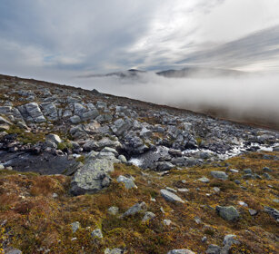 paesaggio, landscape parco nazionale di Dovrefjell, Dovrefjell NP