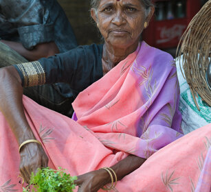 venditrice di prezzemolo, parsley seller Mysore, Karnataka