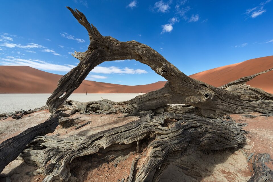 b37def5e-4fca-4676-8460-d507c6aadba2 b37def5e-4fca-4676-8460-d507c6aadba2