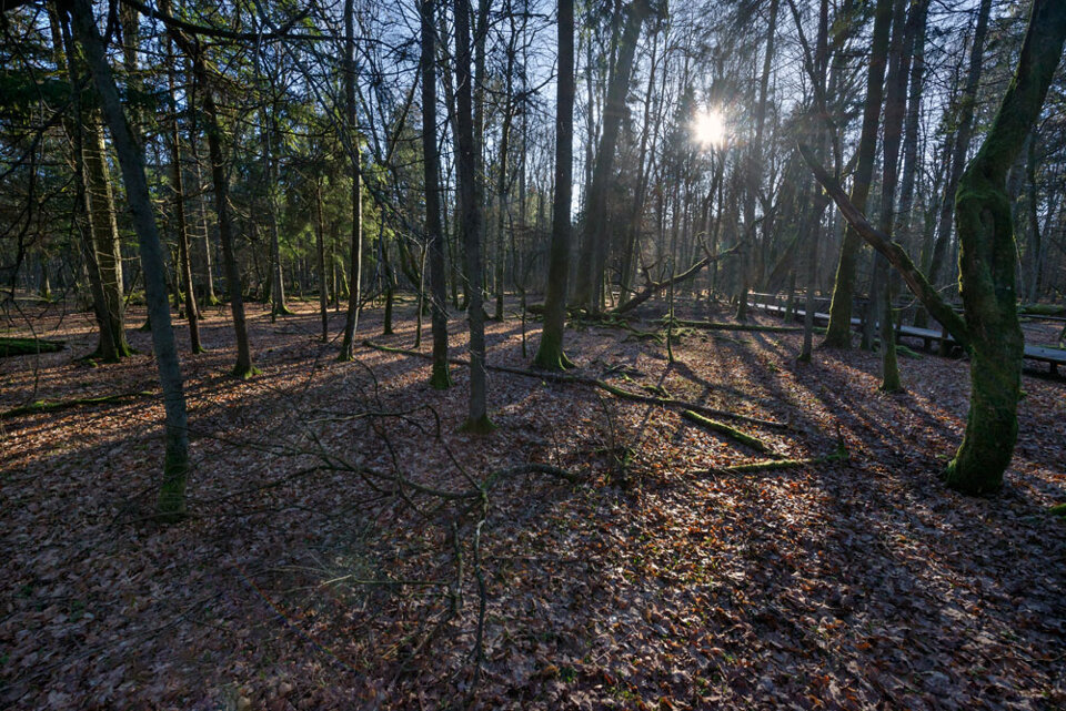 925fd78b-00ec-4021-ba05-dfdd282cd21b