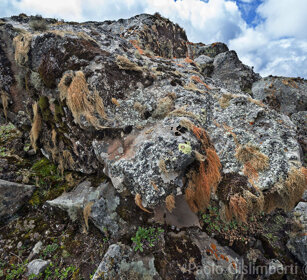 paesaggio, landscape, Sanetti plateau